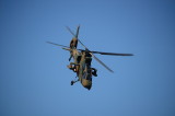 img0005.jpg