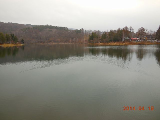 蓼科湖
