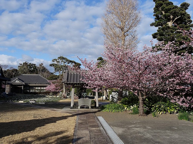 DSC00502.jpg