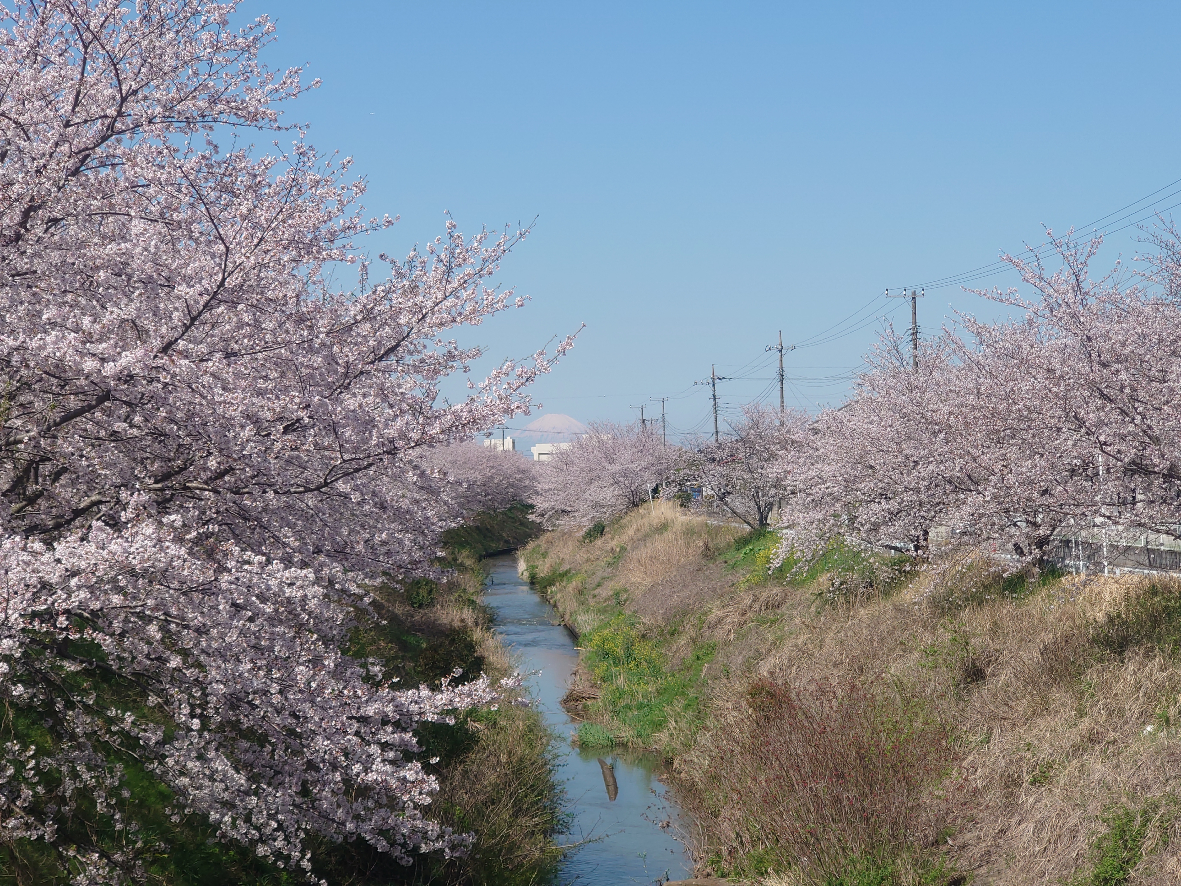 DSC_0341.JPG